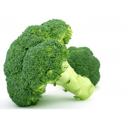 Brocoli