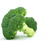 Brocoli