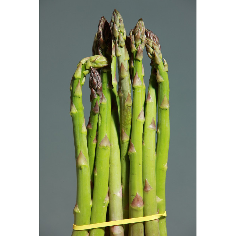 Asperge Verte Asperge Verte