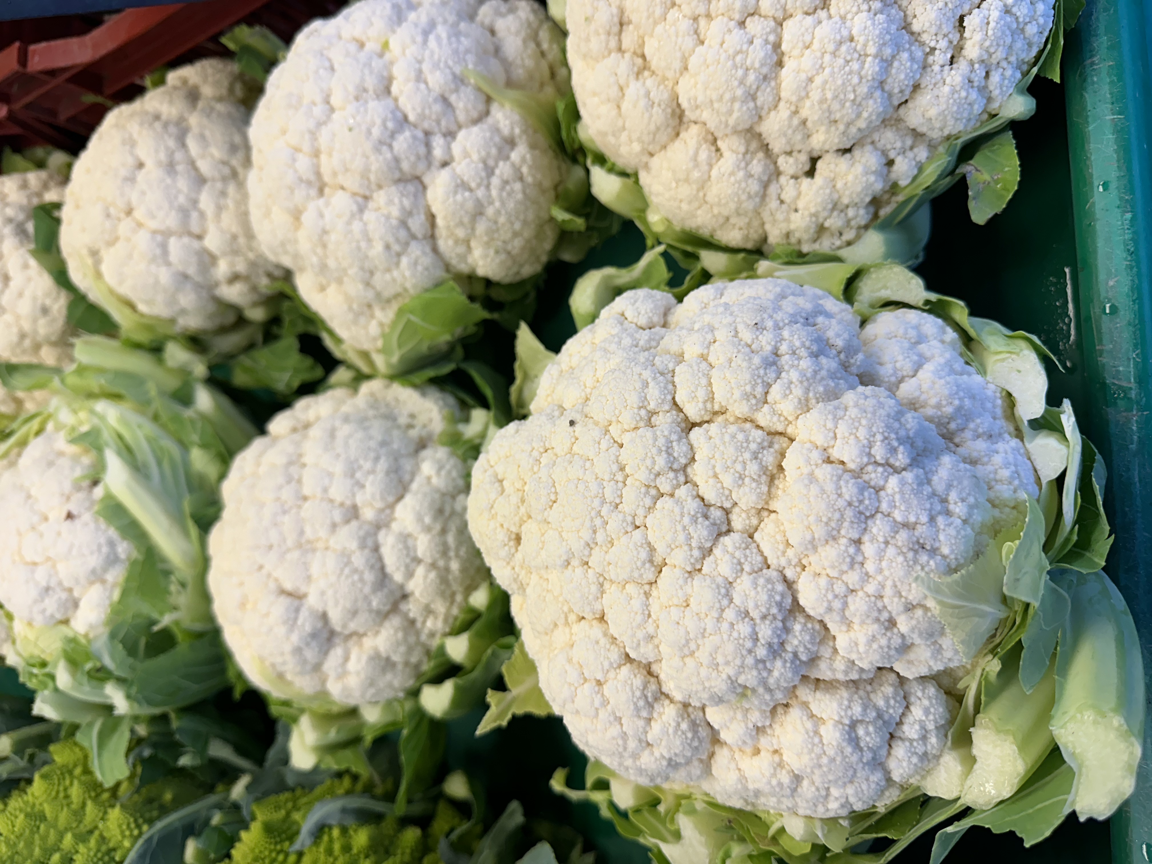 choux fleurs